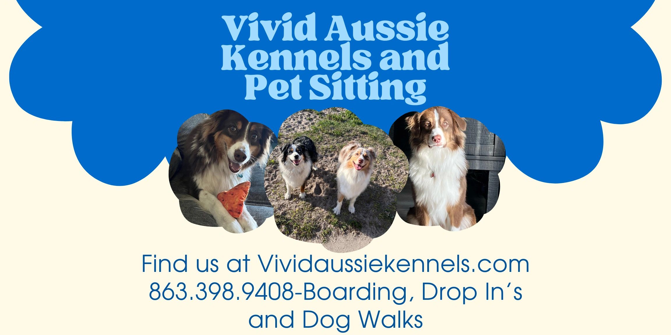 Vivid Aussie Kennels and Pet Sitting in Lakeland, Florida